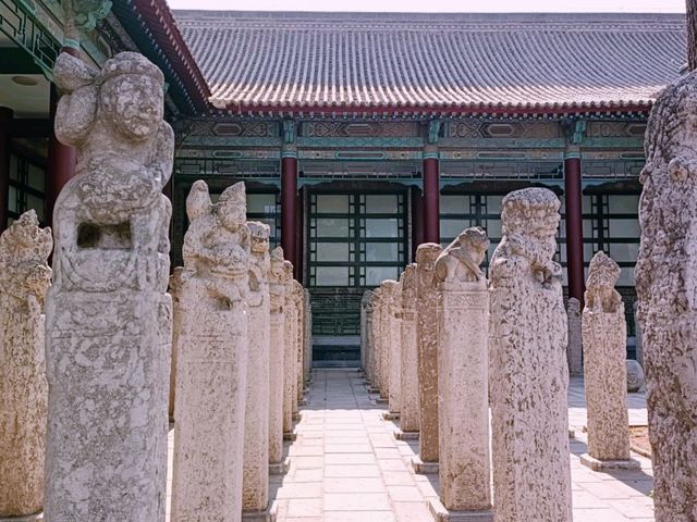 From Art to History: Jinan’s Free Museum Days Revealed