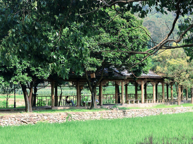 廈門周邊遊 | 福建版「去有風的地方」