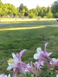 荷蘭公園｜中心城嘅休閒綠地
