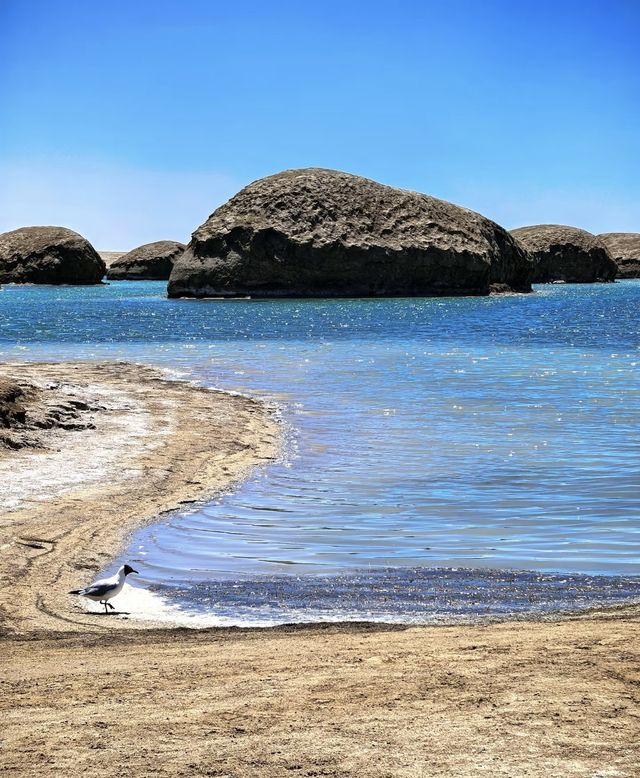 【高原藍寶石・青海湖】