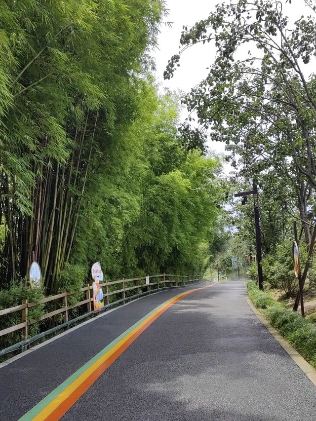 住進森林童話樹屋！原來童話裏嘅綠野仙蹤