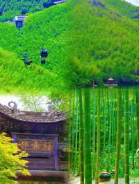 到目前為止，江浙滬我最鍾意嘅避暑小城出現咗