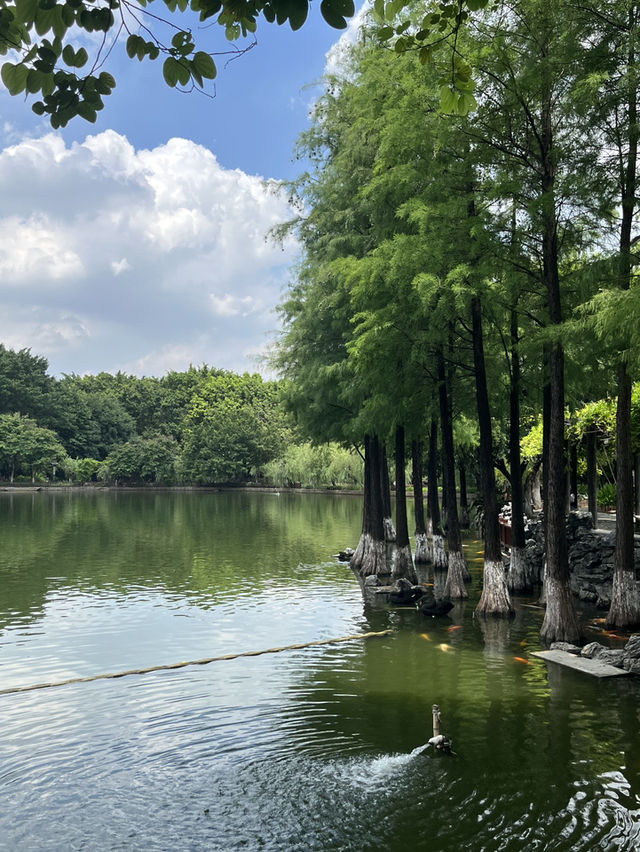 藏在東莞的江南詩意｜可園：嶺南四大名園之一