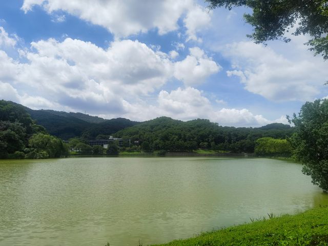 隱藏於白雲山麓嘅翡翠秘境