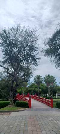 台中公園見到玉山峰頂