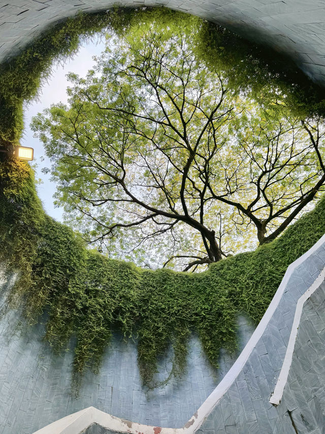 為了拍這些照片我在新加坡跑爛了鞋子  新加坡太好拍啦 喜歡這個現代與自然交織的城市 這次我暴