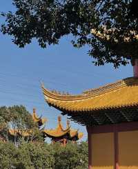 寧波小眾寺廟，拍照超靚超出片