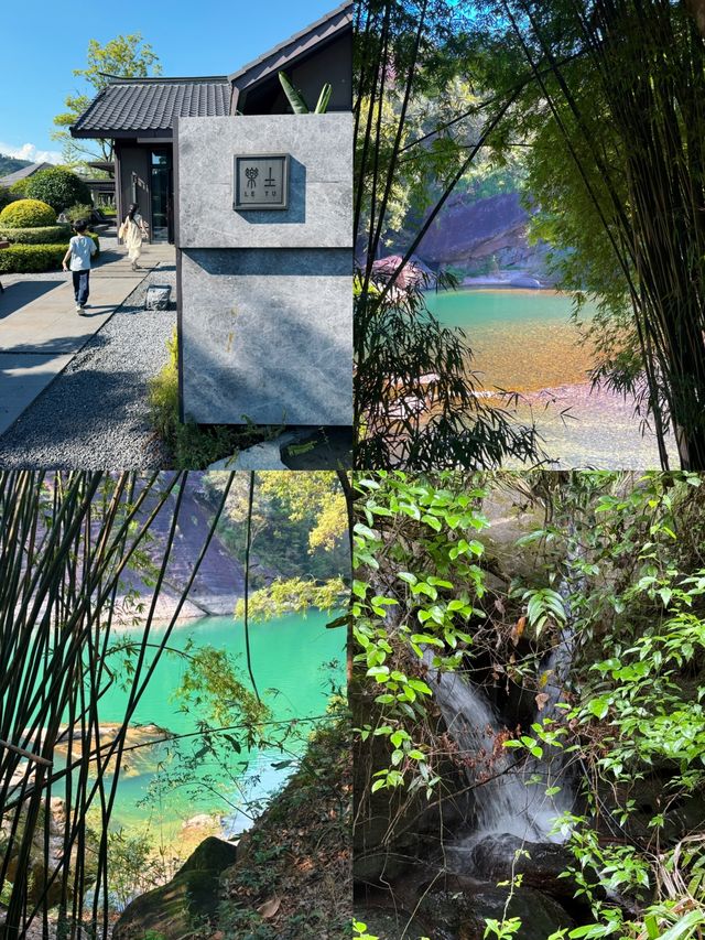 武夷山 | 七月限定嘅清涼茶韻消暑之旅