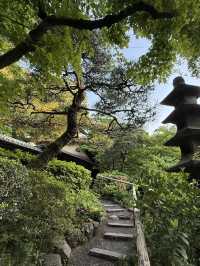 東京必去！藏在美術館後花園的絕美咖啡館✨