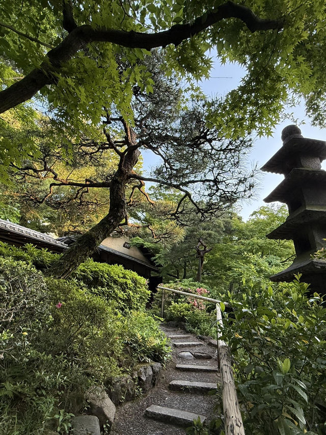 東京必去！藏在美術館後花園的絕美咖啡館✨