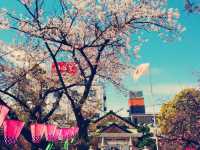 大阪隱世賞櫻秘境！櫻之宮公園浪漫體驗全記錄】**  