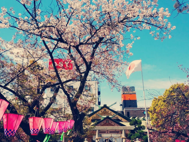 大阪隱世賞櫻秘境！櫻之宮公園浪漫體驗全記錄】**  
