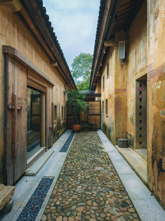 穿越300年嘅相遇，深圳客家大院重獲新生