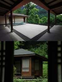 住進森林秘境，邂逅寧靜生活|青城山無境山居