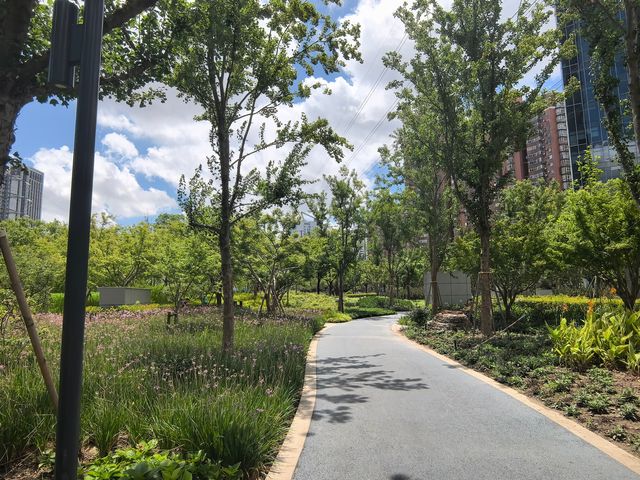 隱藏喺山姆旁邊嘅「治癒小天地」——海納公園遊玩指南