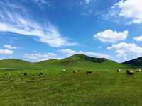 烏蘭布統秘境之旅：草原四季全攻略