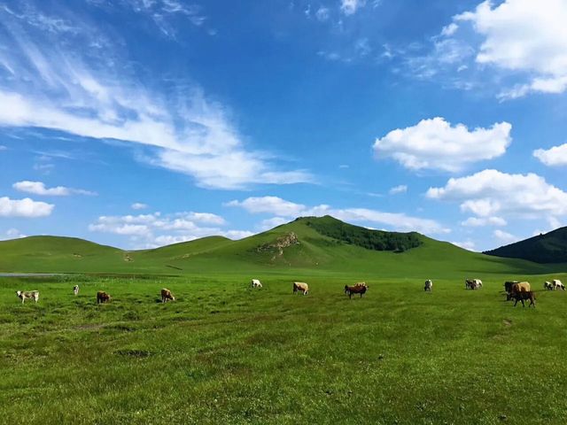 烏蘭布統秘境之旅：草原四季全攻略