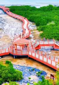 自駕海陵島：開漁節盛宴與海島狂歡