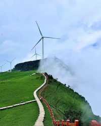 19℃的雲端秘境！六盤水4天3晚深度遊：草原佛光、火把狂歡、峽谷奇觀全收錄！ 北緯26°的天然