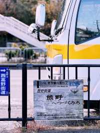 **【大阪堺市：千年古都的現代魅力】**  