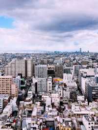 **【大阪堺市：千年古都的現代魅力】**  