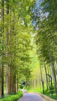 建德嘅22℃暴擊！新安江畔嘅封神玩法全曝光