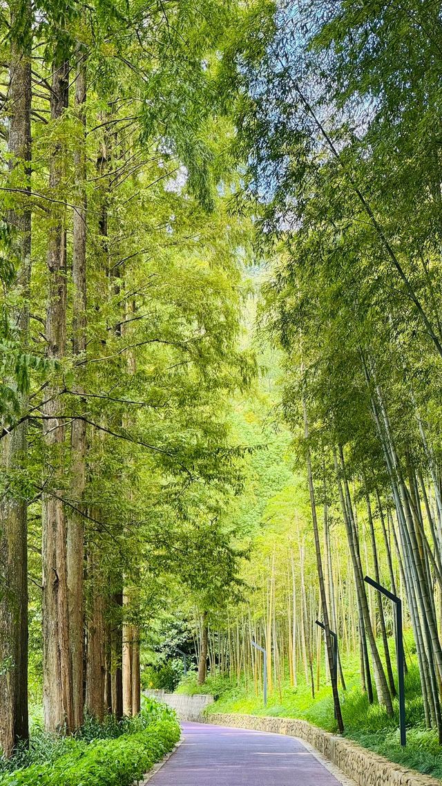 建德嘅22℃暴擊！新安江畔嘅封神玩法全曝光