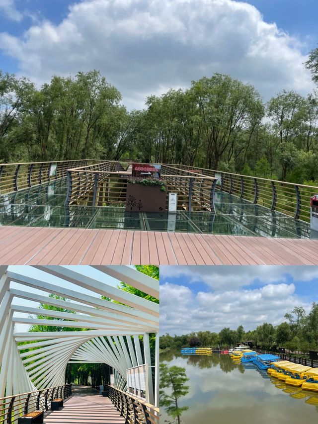 寶子們!雖然櫻花季已經悄然落幕,但那股浪漫餘韻彷彿還在! 寶子們!雖然櫻花季已經悄然落幕,但那股浪漫餘韻彷彿還在!