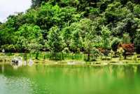 荔波：地球綠寶石！比九寨仙，比桂林野，人均500玩3天