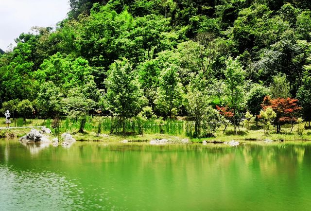 荔波：地球綠寶石！比九寨仙，比桂林野，人均500玩3天