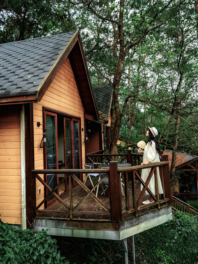 就在廣東信宜住進森林樹屋，天然氧吧！