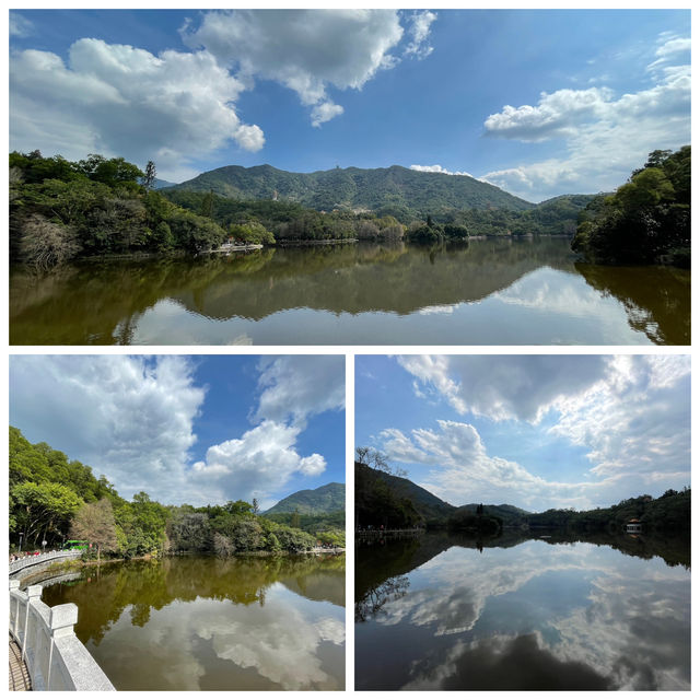 🌿仙湖雙湖記:藏在梧桐山下的鏡面秘境攻略 🌿仙湖雙湖記:藏在梧桐山下的鏡面秘境攻略