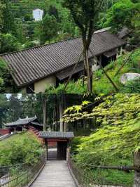 成都周邊1h避暑攻略!住進山林裡,涼到不想上班