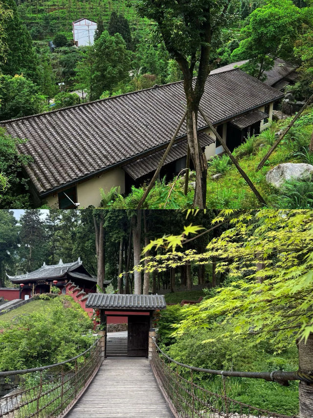 成都周邊1h避暑攻略!住進山林裡,涼到不想上班 成都周邊1h避暑攻略!住進山林裡,涼到不想上班