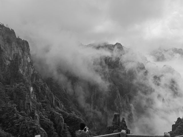 團結松，雨傘松，大王松皆迎客松