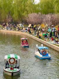 京城都市綠洲典範