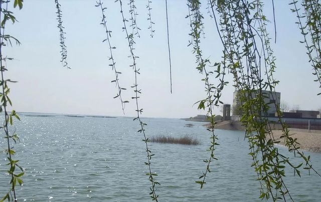 華北秘境衡水湖觀鳥指南,速存! 華北秘境衡水湖觀鳥指南,速存!