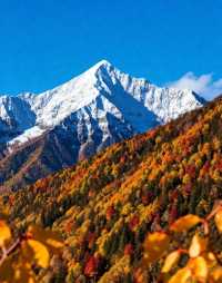 西嶺雪山徒步全攻略