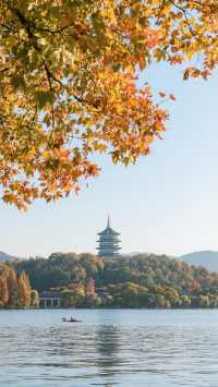 帶上家人來十月的浙江，玩出詩意江南，四天三晚旅行攻略