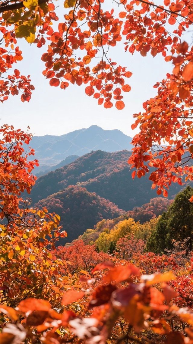 北京一的香山紅葉，四天三晚，旅行攻略