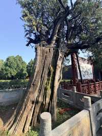 千年皇家廟宇美哭你岱廟