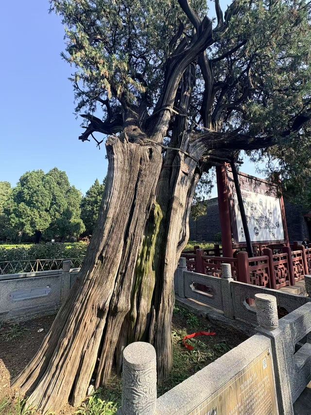 千年皇家廟宇美哭你岱廟