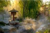 驚艷全國的百年銀杏打卡地～威海·文登2日秋遊