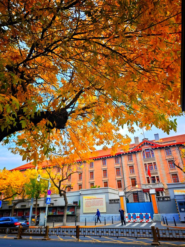 北京賞秋最美街道