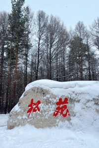 零下40℃的寒冷中,遇見最溫暖的北國童話