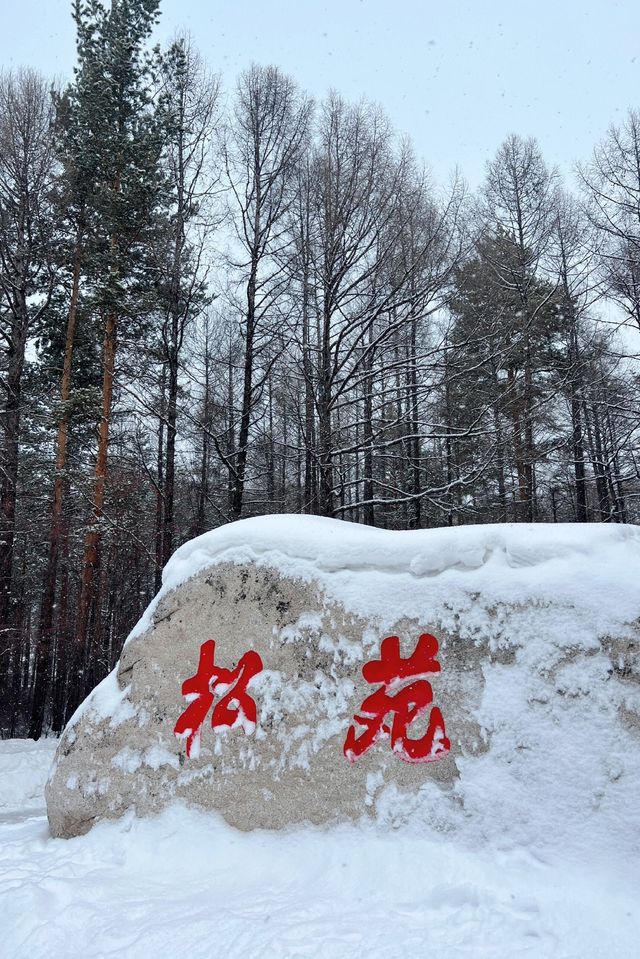 零下40℃的寒冷中,遇見最溫暖的北國童話 零下40℃的寒冷中,遇見最溫暖的北國童話