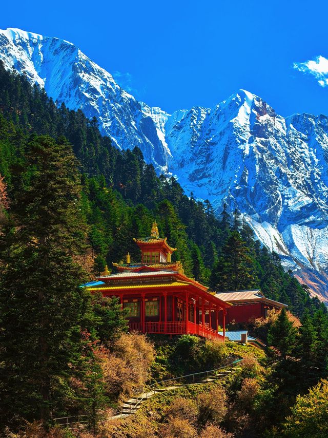 嘎瓦龍景區在波密遇見360°雪山環繞的秋日秘境 嘎瓦龍景區在波密遇見360°雪山環繞的秋日秘境