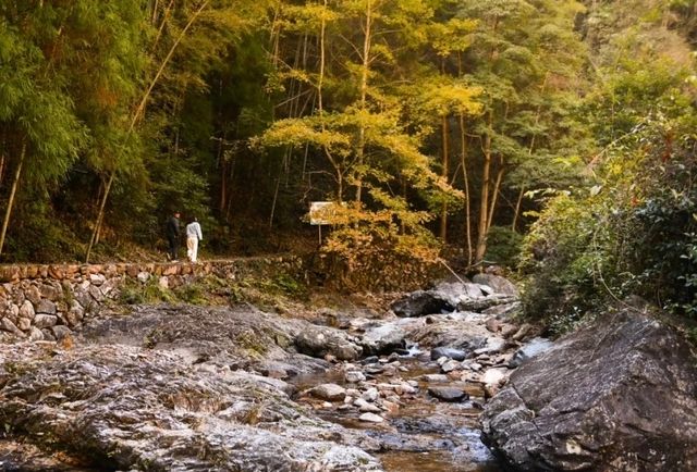 淡竹的秋,神仙湯池溫泉 淡竹的秋,神仙湯池溫泉