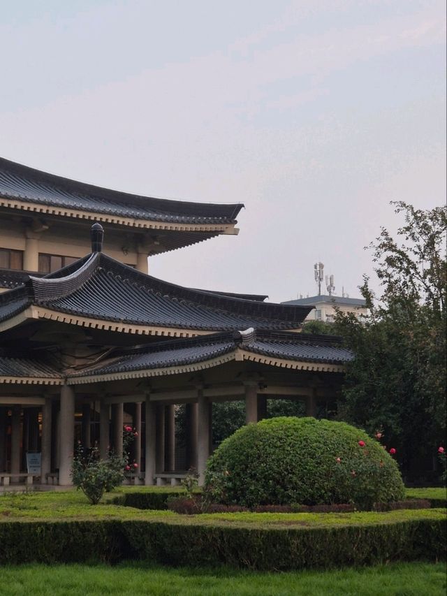 Shaanxi History Museum: Important Visitor Information