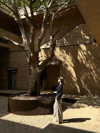 𝒔𝒊𝒏𝒈 𝒎𝒊𝒏𝒈𝒚 𝒅𝒂𝒚 𝒅𝒂𝒚||A paradise found by light and shadow enthusiasts in Jingdezhen. Stepping into this porcelain-light dreamland, camphor
